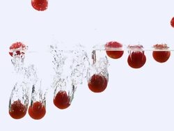 CU SLO MO Shot of Cherry Tomatoes, solanum lycopersicum, Fruits falling into Water against White Background / Calvados, Normandy, France Stock Footage