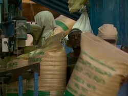 MS Unloading bags in building site / Djibouti Stock Footage