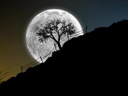 Night And Comet Stock Footage