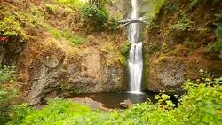 Multnomah Falls Stock Footage