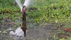 Water sprinkler showering grass Stock Footage