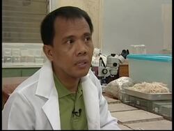 Scientist creates cement using chicken feathers News Clip