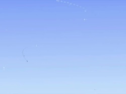 Grapevine Machine-Style Curles Stock Footage