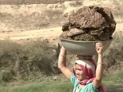 Woman carrying manure to be burned into fuel Stock Footage