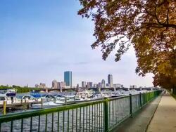 Boston bay Stock Footage