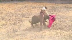 CLEAN : Bullfights are back in Bogota News Clip