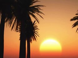 Tropic sunrise. Stock Footage