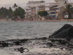 MS View of Crabs and tourists at Hikkaduwa beach at sunset / Hikkaduwa, Southern Province, Sri Lanka Stock Footage