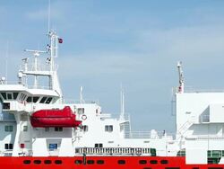 container ship with seagulls Stock Footage