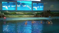 Synchronised swimmers in routine in Pyongyang News Clip
