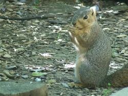 I'm Hungry! Stock Footage