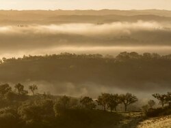 Misty countryside early morning Stock Footage