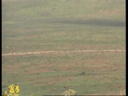 TANZANIA/RWANDA: REFUGEES EXODUS UPDATE News Clip