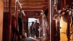 DS Male rancher leading his horse into the stable Stock Footage