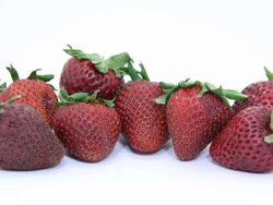 Rotting Strawberries Stock Footage