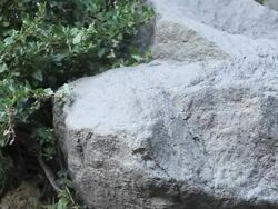 Clothing dropped on rock Stock Footage