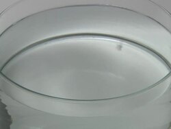 Potassium metal reacting with water. Stock Footage