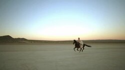 (Slow Motion) Attractive Woman Riding Horse 03 Stock Footage