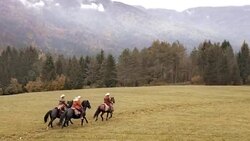 AERIAL Three people riding galloping horses across a meadow Stock Footage