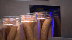 Jars full of frankfurters move under a blue light. Stock Footage