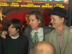 AFI FEST 2009 'Fantastic Mr. Fox' Premiere Stock Footage