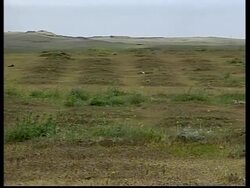 GWT: VOICER Exhumations begin at alleged mass grave Instructional Video