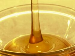 honey Stock Footage