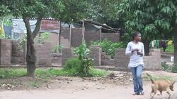 VOICED : Nos mudamos al cementerio News Clip