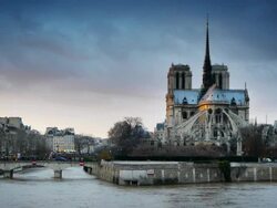 Paris Notre dame Stock Footage