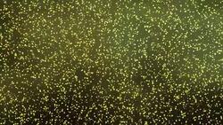 YELLOW PARTICLE BACKGROUND Stock Footage