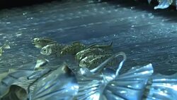 CLEAN : Robots through the ages go on show in London News Clip