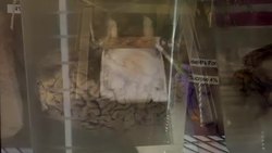 Mind Mappers Mapping The Brain To Understand The Mind Instructional Video