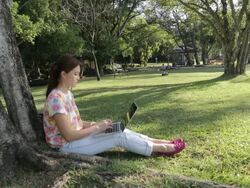 Businesswoman working in the outside Stock Footage