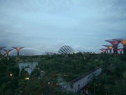 WS Supertrees ands cool houses in Gardens by the Bay at dusk Stock Footage