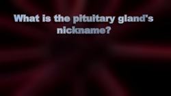 Science Kids: All About The Endocrine System Instructional Video