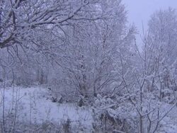 Snowy Scene Stock Footage