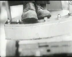 FRUIT-PICKING WITHOUT TEARS News Clip