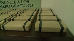 VOICED : Bolivia: neighborhood watch groups help police to fight crime News Clip