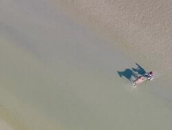 WS AERIAL DS ZI ZO  Man ridding horse cart through sea shore / North Frisian Sea,  Schleswig-Holstein, Germany Stock Footage