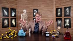 Digestive System, Part 1: Crash Course A&P Instructional Video