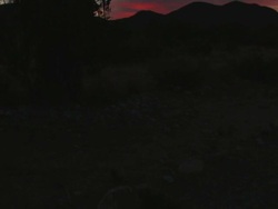 Desert yucca sunrise Hueco Tanks State Park Texas Stock Footage