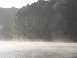 Bamboo Rafting at Pangung, Maehongson Stock Footage