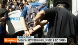 The Link Between Big Business and Big Green News Clip