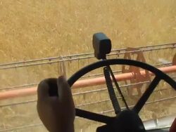 Harvesting - montage video Stock Footage