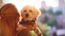 Girl with a small dog enjoying a beautiful sunset over city Stock Footage