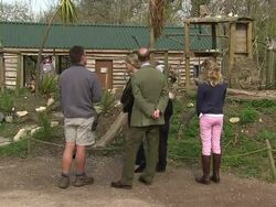 The Earl of Wessex and his Family by the Lemurs Enclosure in Bristol Zoo News Clip