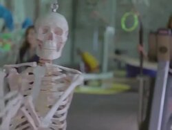 19th Biennale Of Sydney - Media Preview Stock Footage