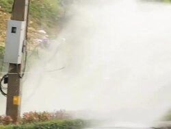 Watering flowers. Stock Footage