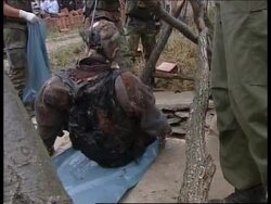 YUGOSLAVIA: KOSOVO: NATO UNCOVER FURTHER EVIDENCE OF ATROCITIES News Clip