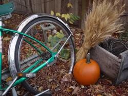 Still life scene Stock Footage